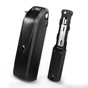 Hailong इलेक्ट्रिक स्कूटर ebike ब्याट्री 48V 15Ah