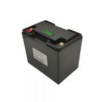 कम तापक्रम 48V 200AH स्वयं तातो कार्यसँग