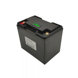 कम तापक्रम 48V 200AH स्वयं तातो कार्यसँग